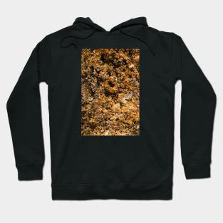 Eroded Abstract Ocean Rock Texture - Alternative III Hoodie